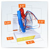 Coronary Artery and Vein Anatomy Model