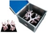 KOKEN Bronchoscopy Training Model