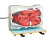 KOKEN Colonoscopy Simulator Type II