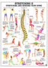 Stretching II Laminated Fitness Poster