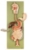 SOMSO Complete Digestive System Model - 2/3 Life Size