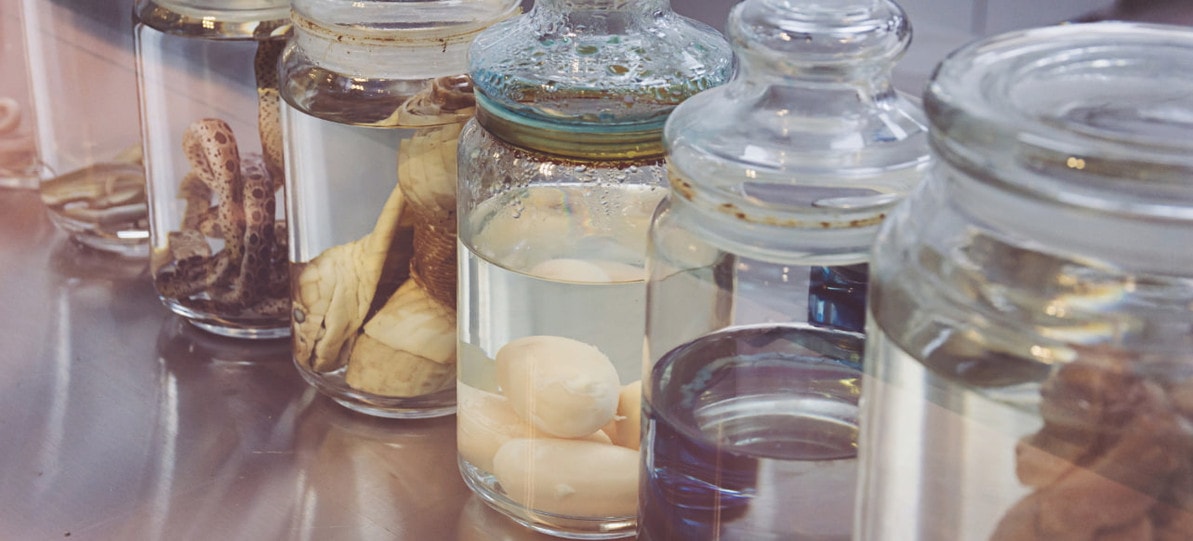 The Science Behind Specimen Fixatives & Preservation Fluids