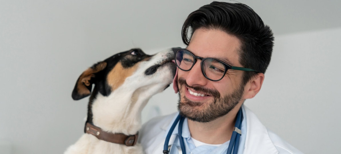 Why Use Models & Simulations in Veterinary Education?