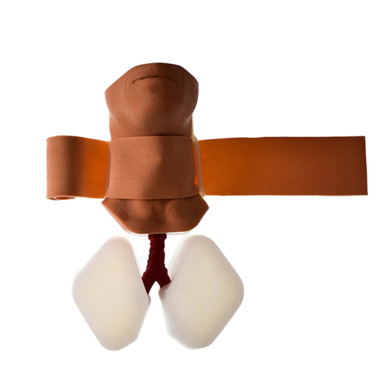 Decent Simulators Cricothyroidotomy Task Trainer