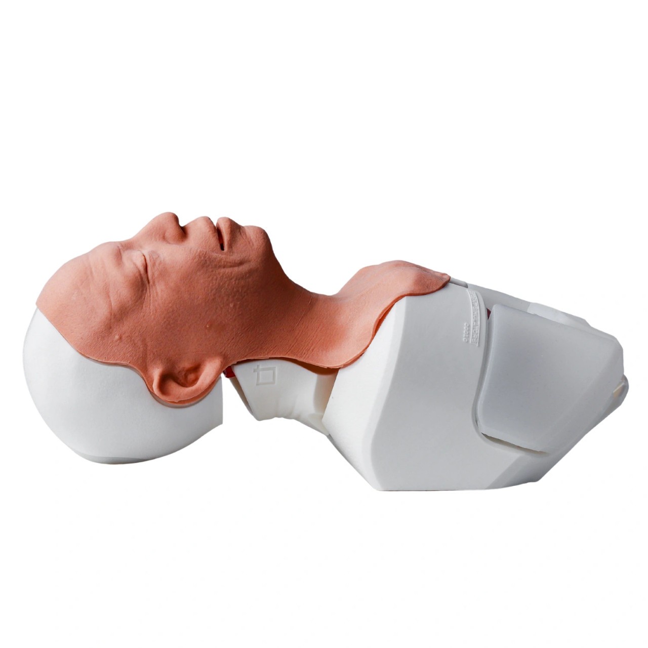 Decent Simulators Adult Airway Management Task Trainer