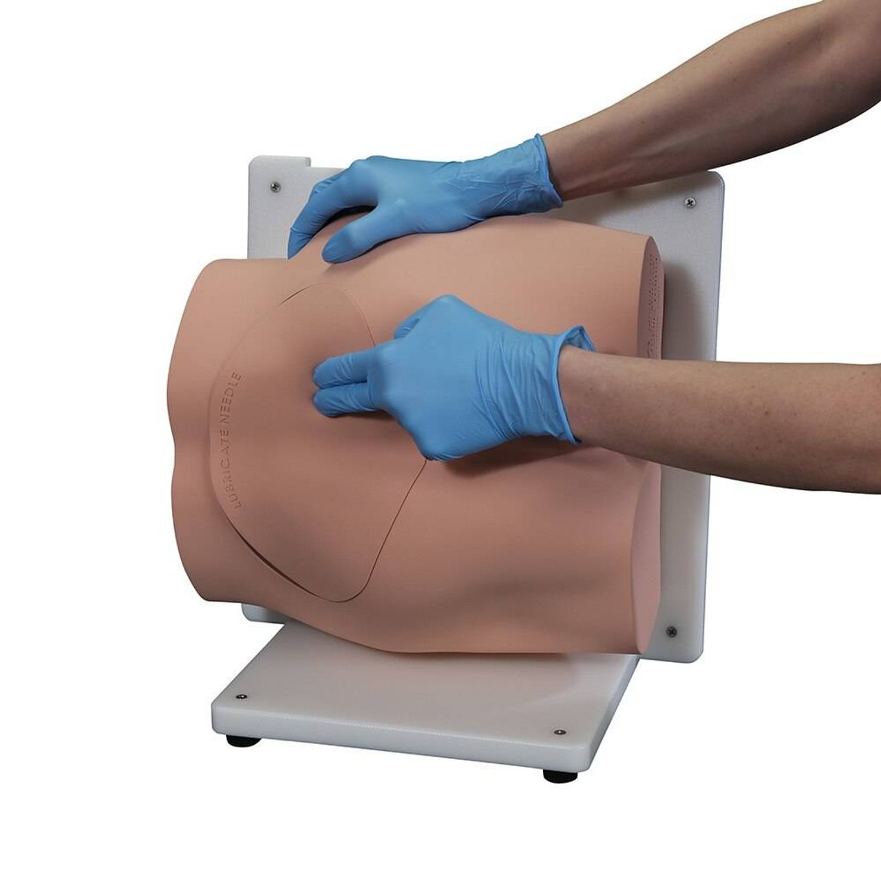 Bonnie Bone Marrow Biopsy Skills Trainer