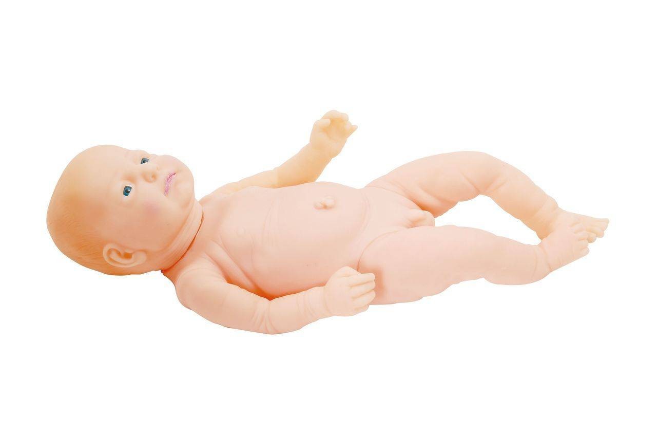 Anatomy Lab Neonate Care Female and Male Manikin Set
