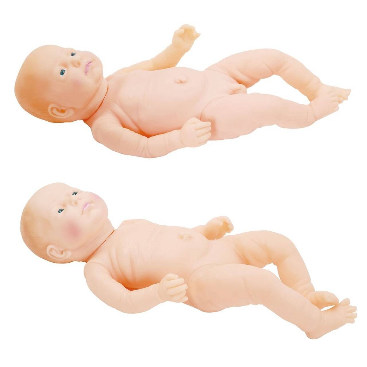 Anatomy Lab Neonate Care Female and Male Manikin Set