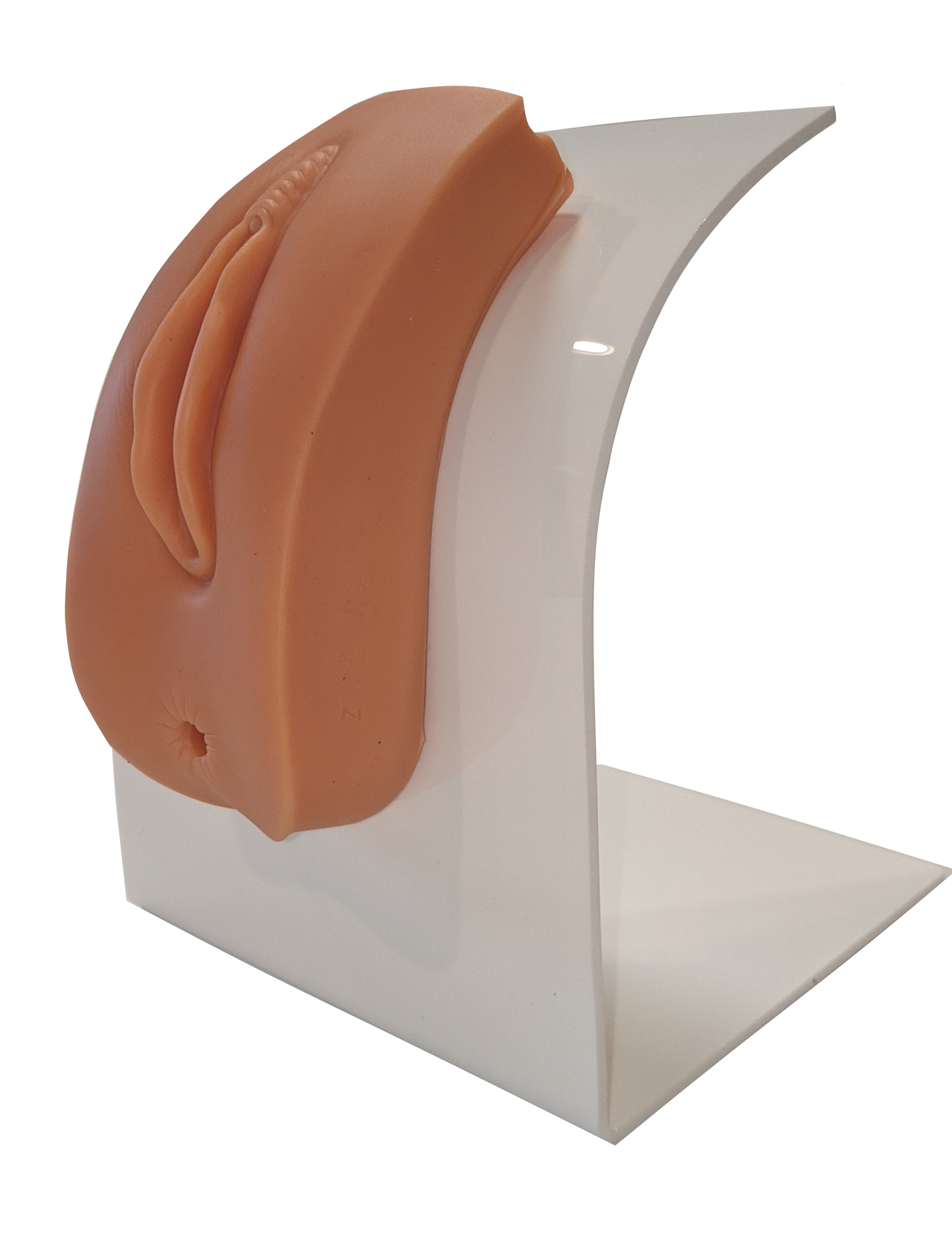 Anatomy Lab Portable Nursing Simulation Kit, Female Catheterization and Enema Trainer Side View
