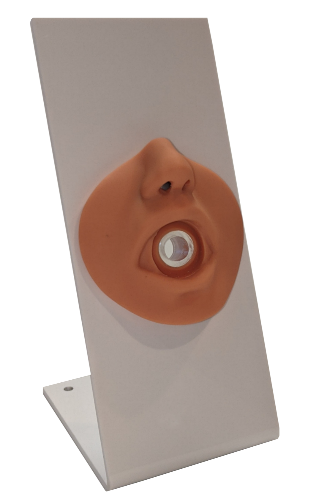 Nasogastric Tube and Oxygenation Trainer with Stand