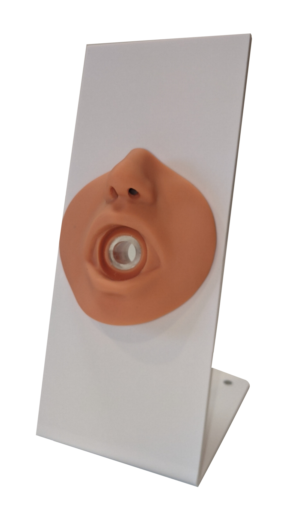 Nasogastric Tube and Oxygenation Trainer with Stand