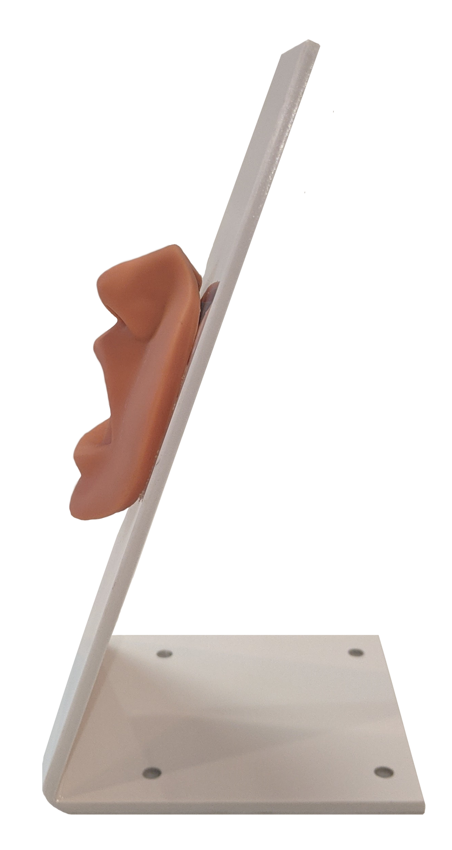 Nasogastric Tube and Oxygenation Trainer with Stand