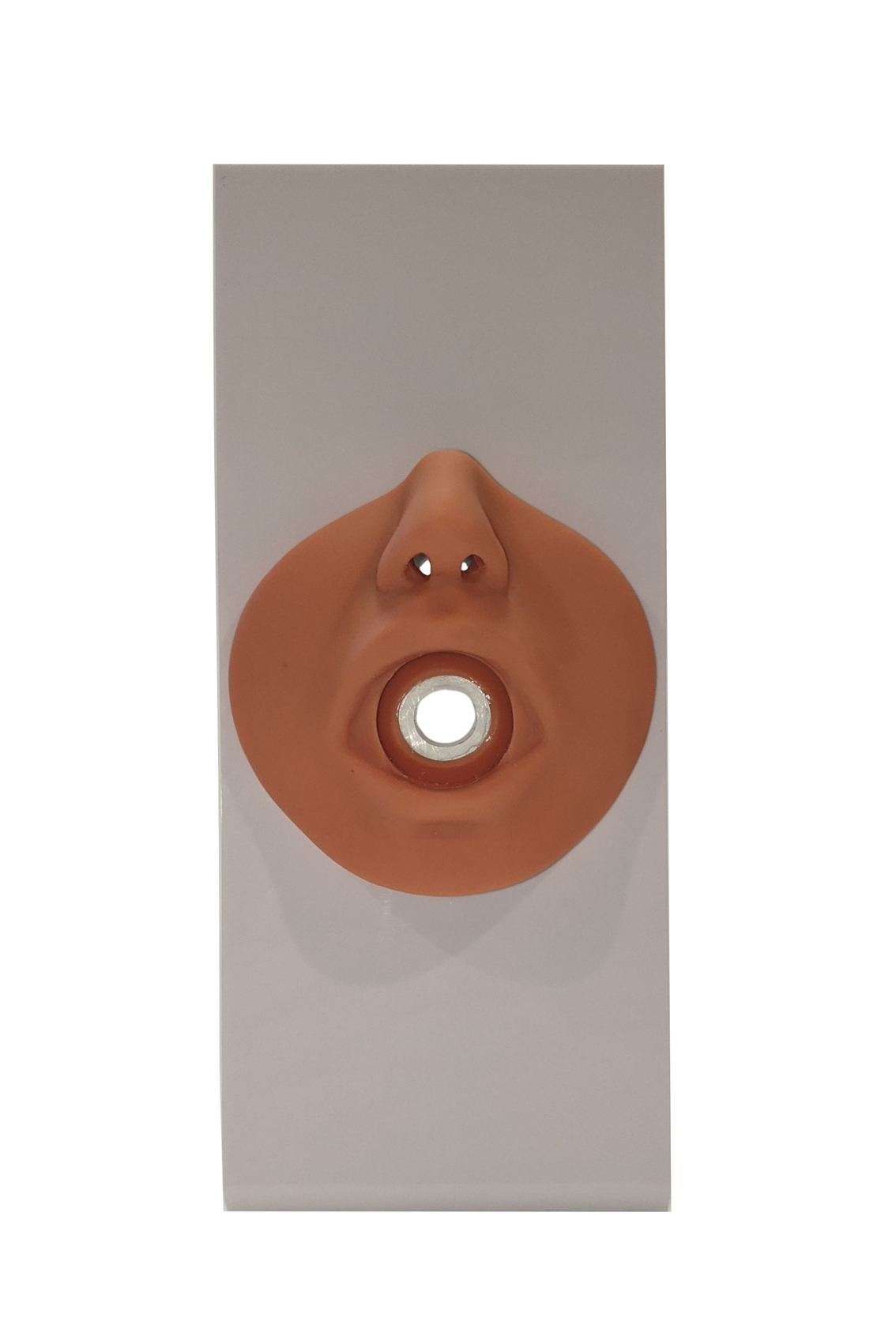 Nasogastric Tube and Oxygenation Trainer with Stand