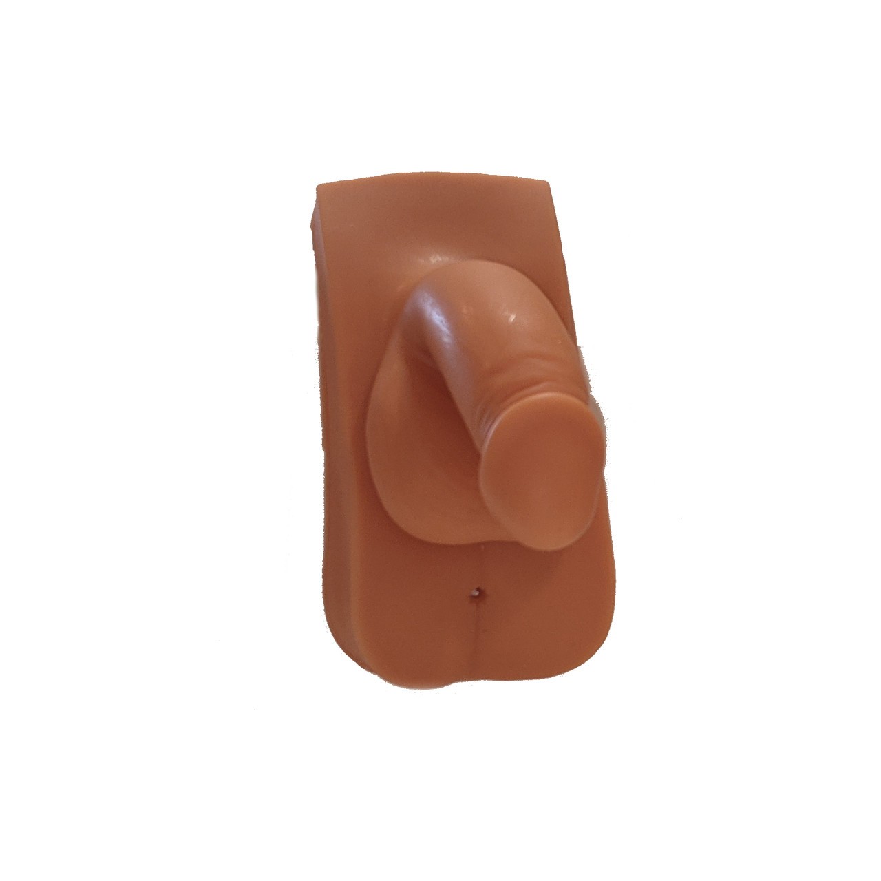 Male Urinary Catheterization and Enema Trainer