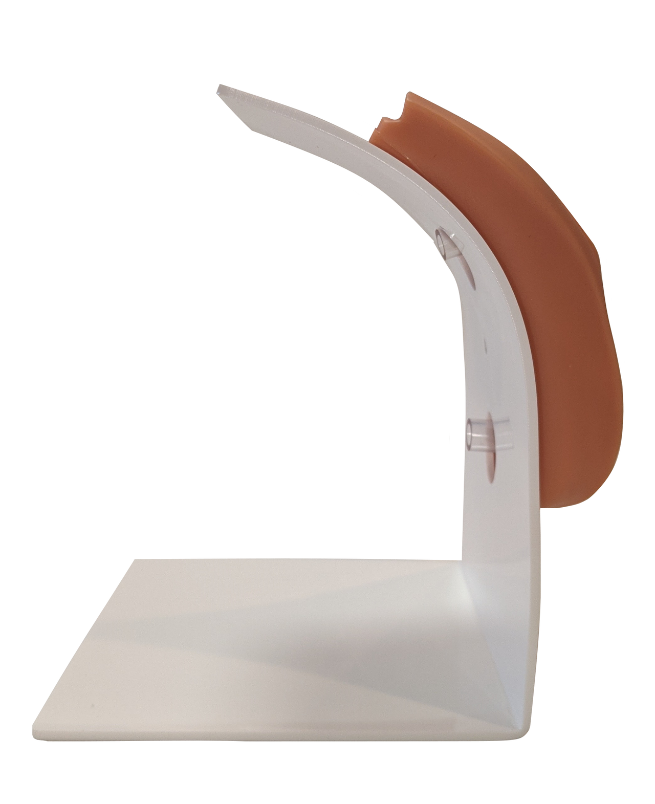 Anatomy Lab Female Urinary Catheterization and Enema Trainer with Stand