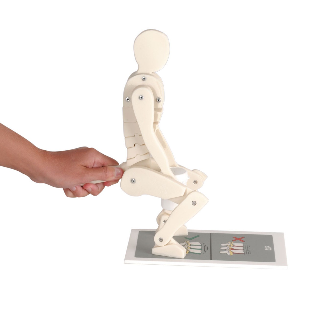 Lifting Demonstration Figure Model