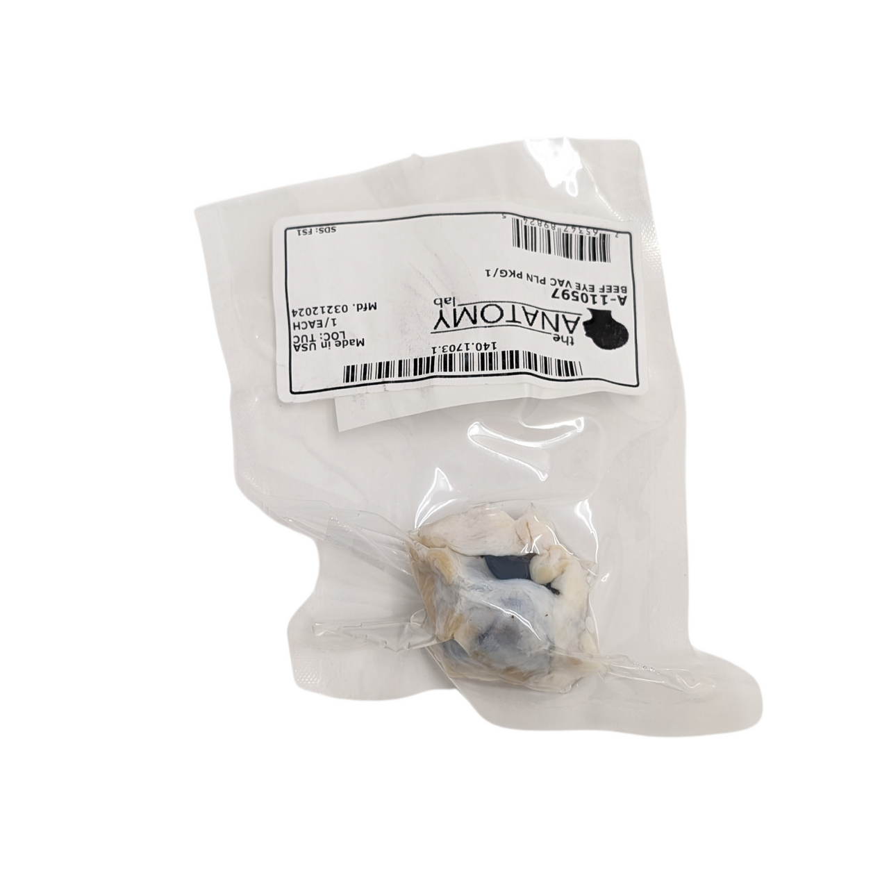Anatomy Lab Cow Eye Specimen, Preserved Specimen for Dissection