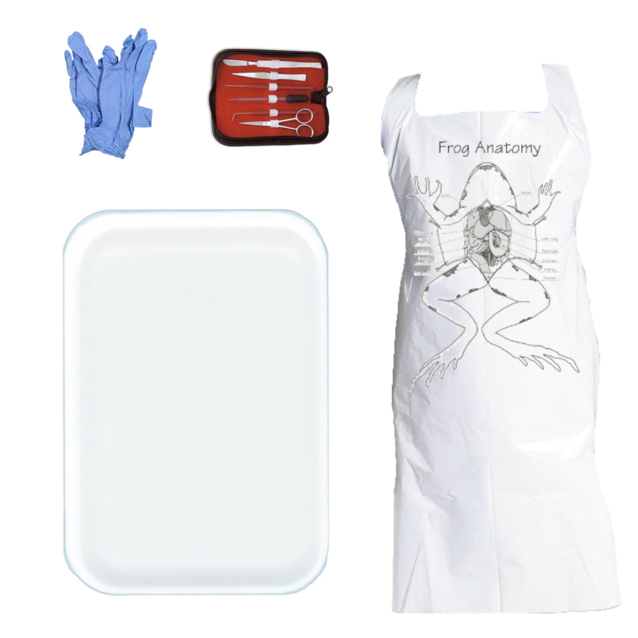 Anatomy Lab Dissection Kit with Apron, Gloves, Dissection Tool Set, and Large Foam Tray