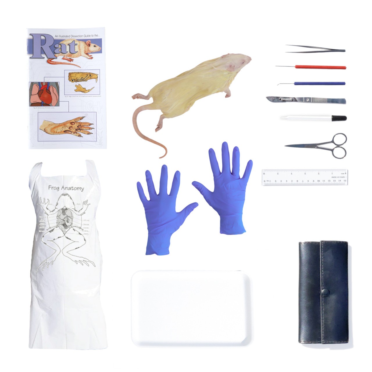 Rat Dissection Kit