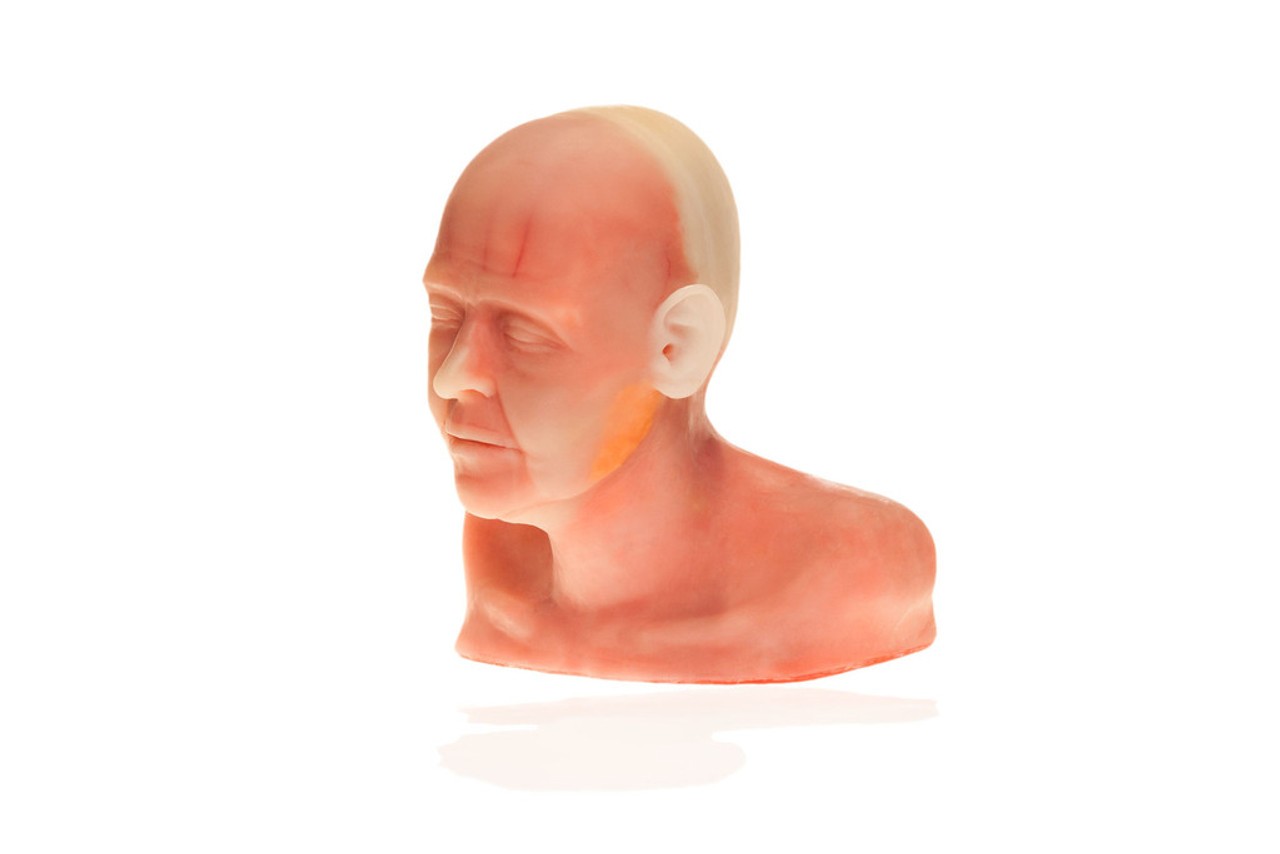 SimSkin Cosmetic Filler Training Model - Diaphanous Zsa Zsa - Front Left View of the Head and Shoulder