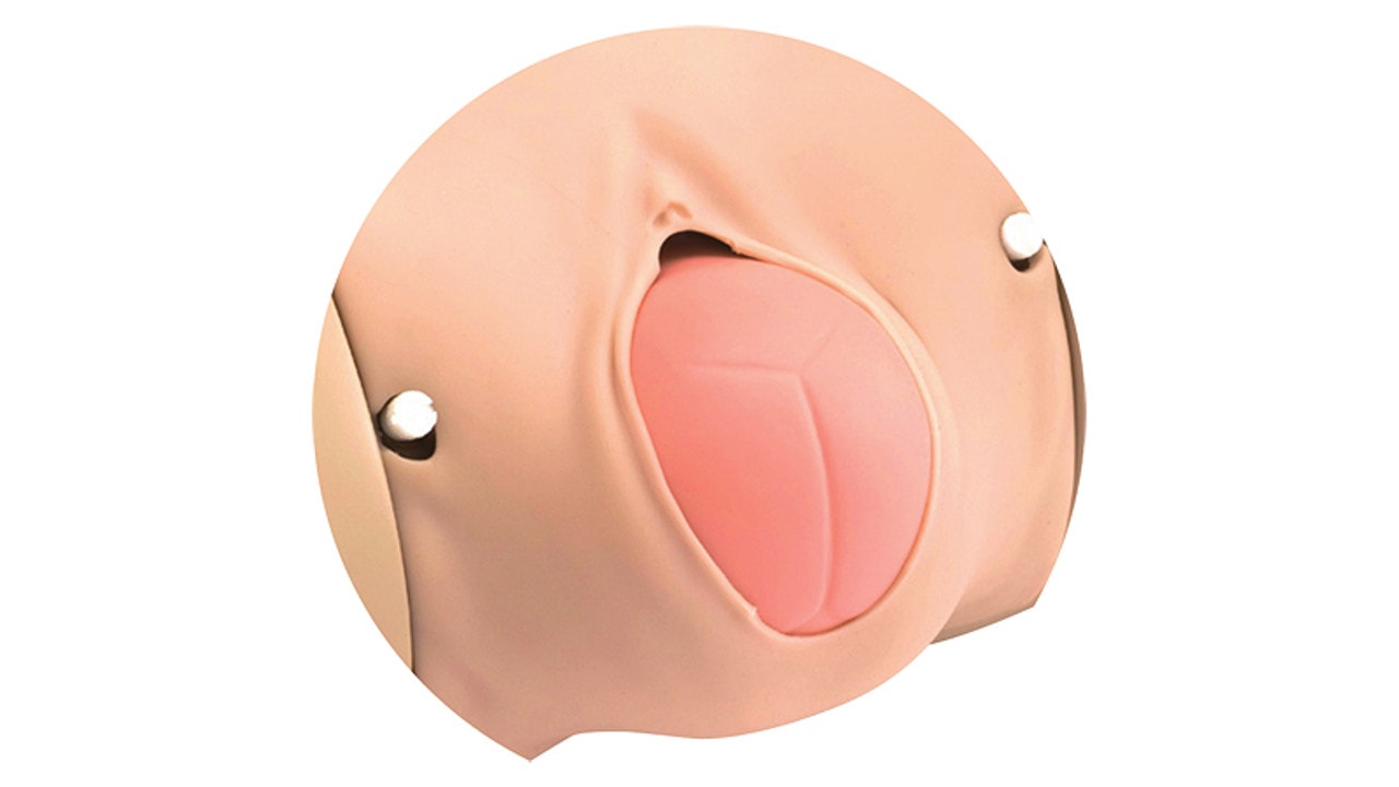 Fetus Head Extraction