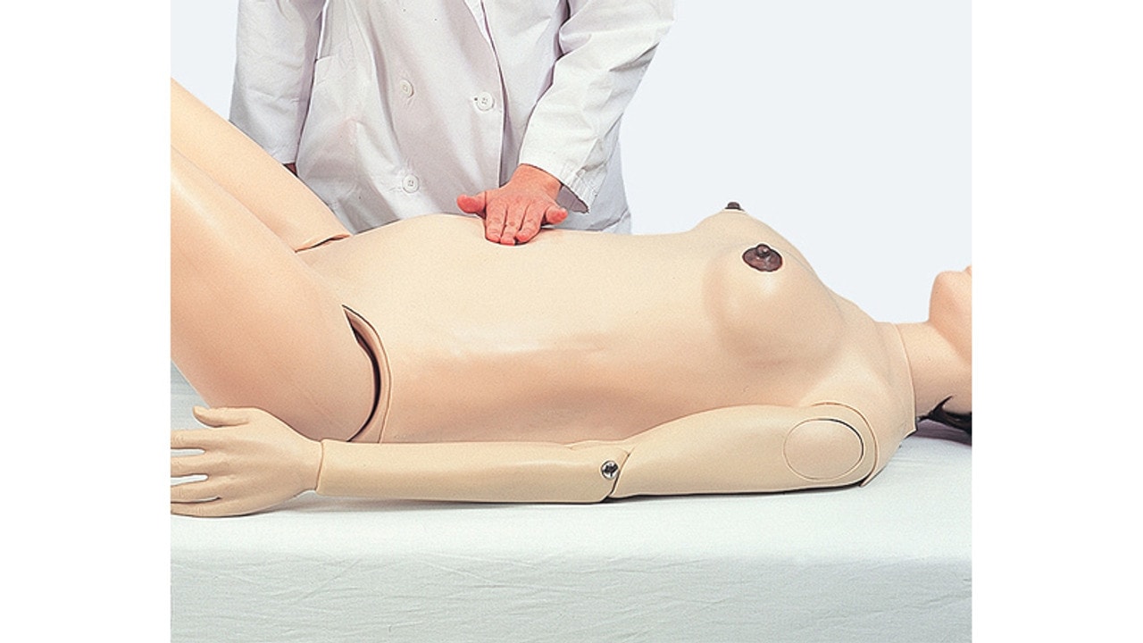 Palpation of the Uterus