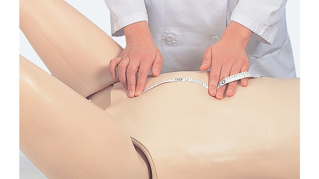 Measurement of the Uterus