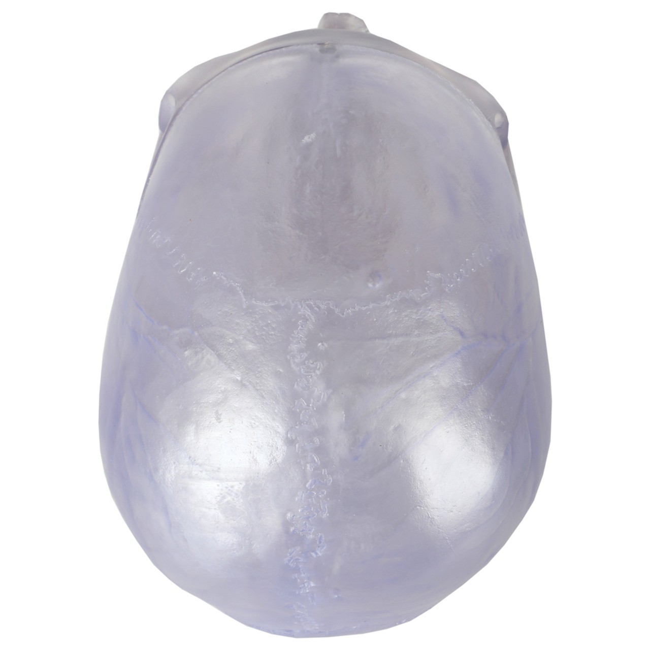 Axis Scientific 3-Part Translucent Human Skull Anatomy Model - Top Calvarium View