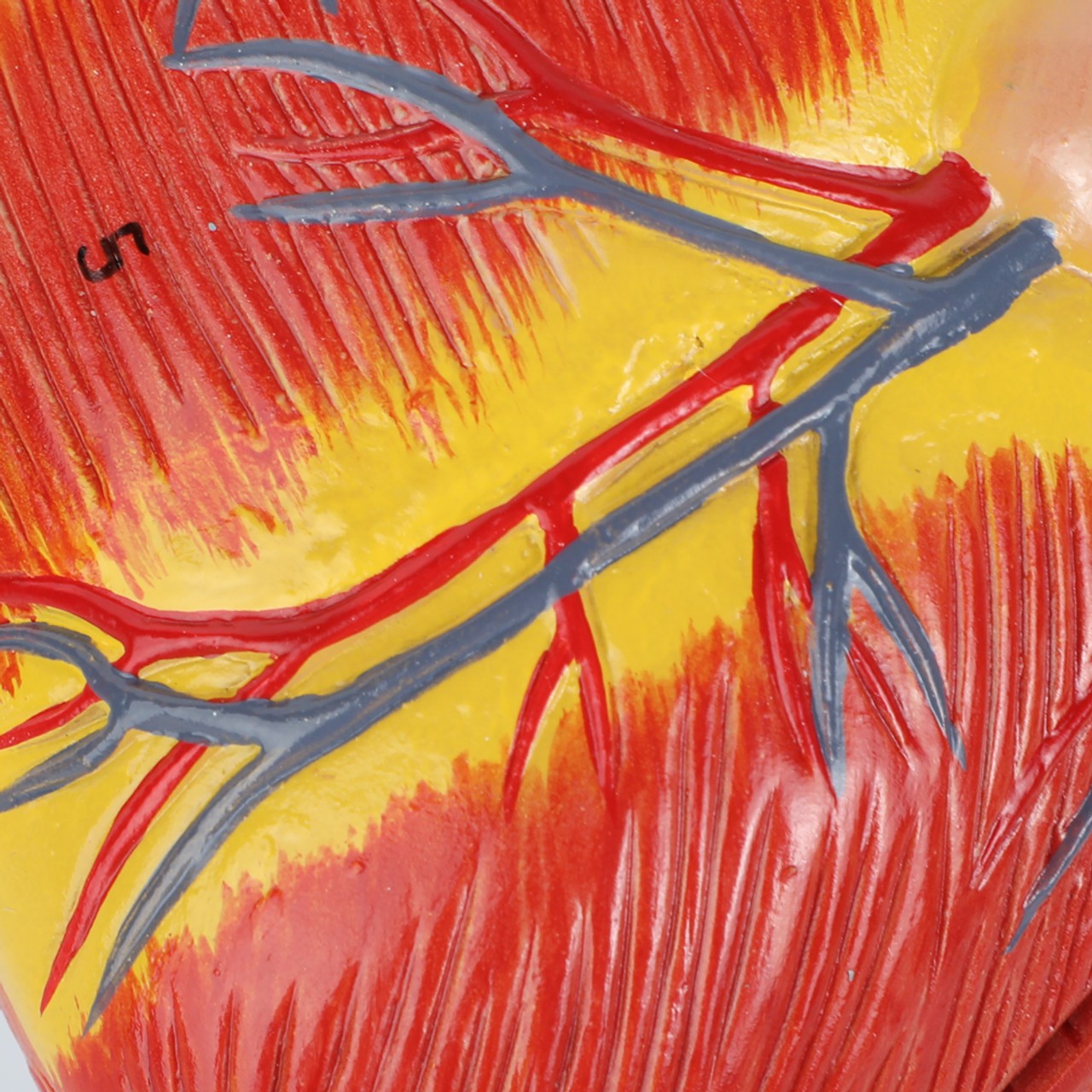 Detail shot of the hand-painted heart veins.
