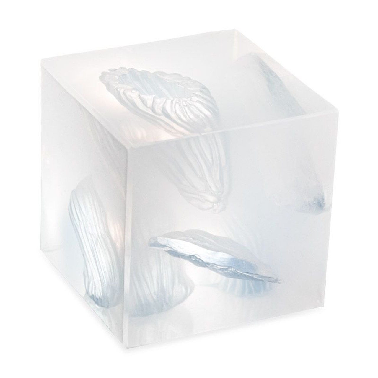Phokus Wound Cube Gen2 Simulator  - 1 Count