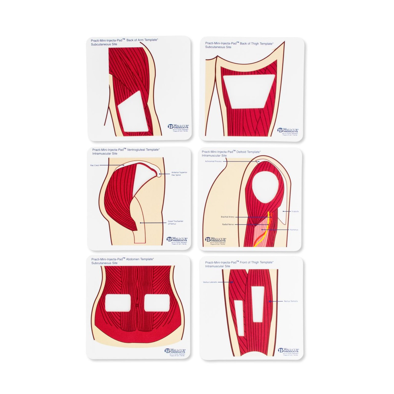 Practi-Mini Injecta Pads & Templates