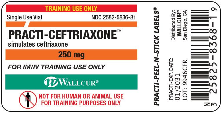 Anatomy Lab Practi-Ceftriaxone Peel-N-Stick Vial Labels - 100