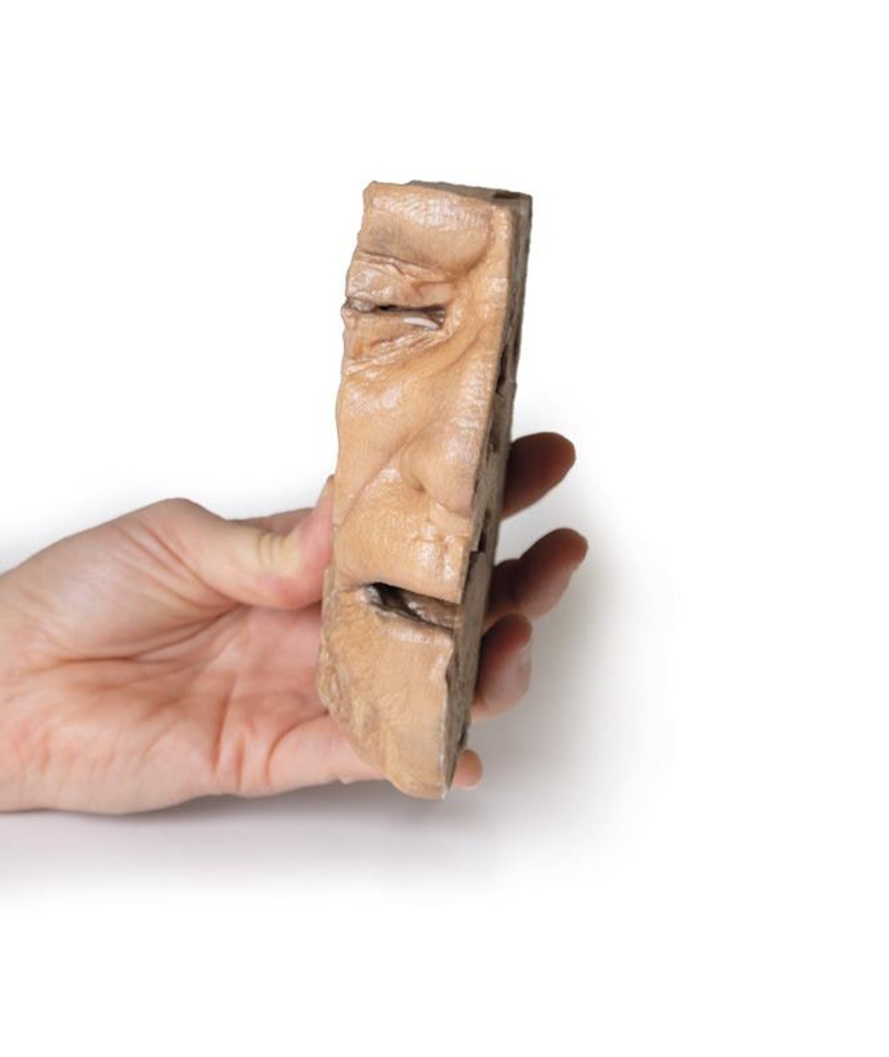 3D Printed Sinus Pathways