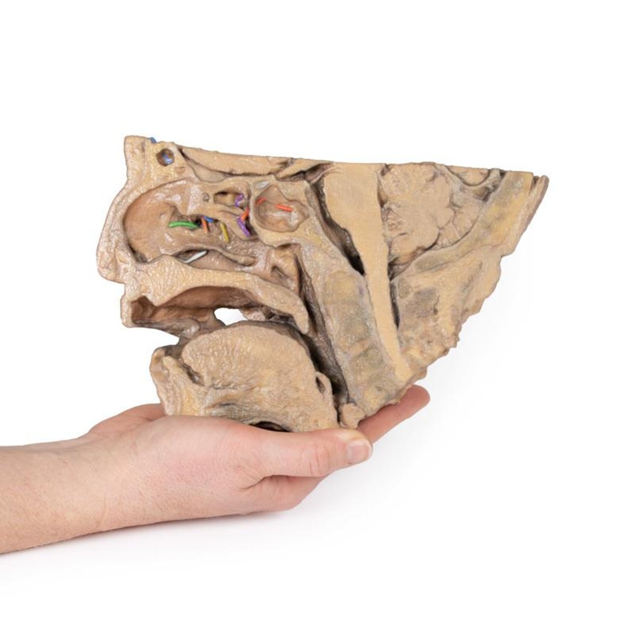 3D Printed Sinus Pathways