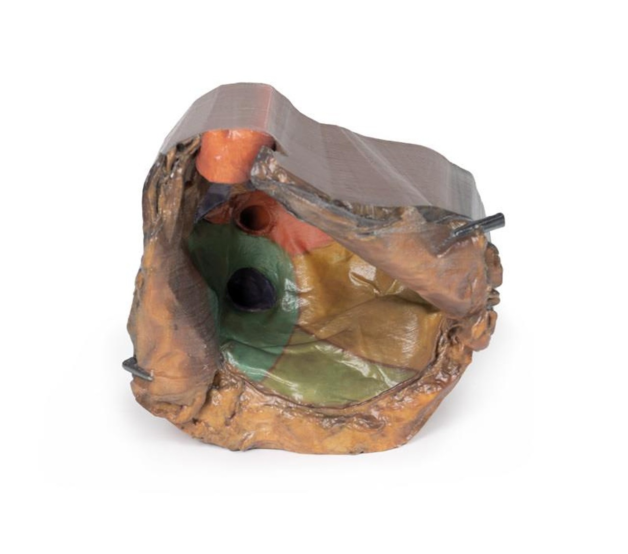 3D Printed Pericardial Space