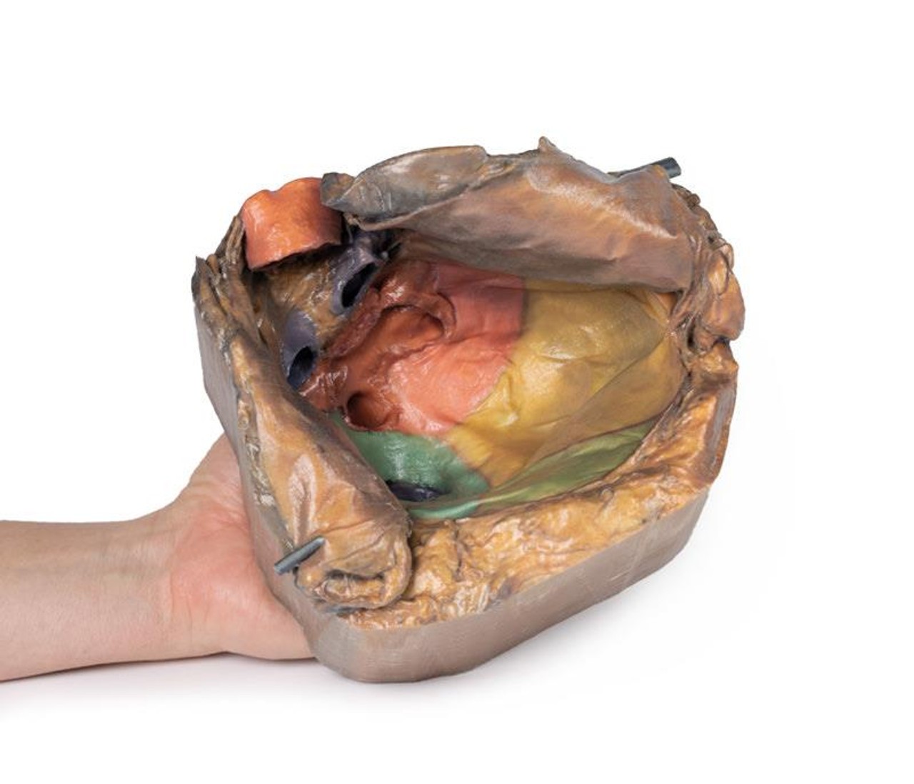 3D Printed Pericardial Space