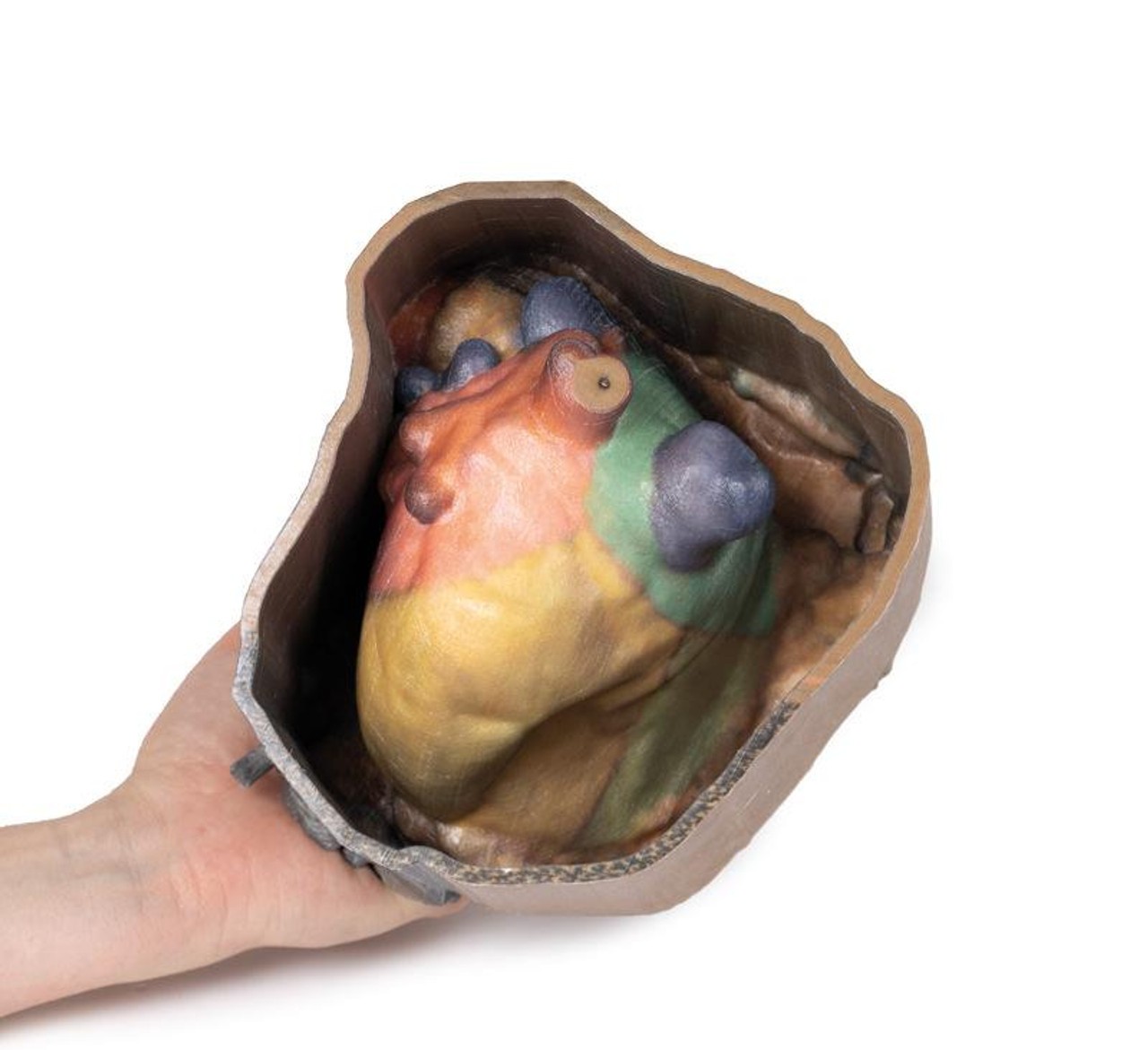 3D Printed Pericardial Space