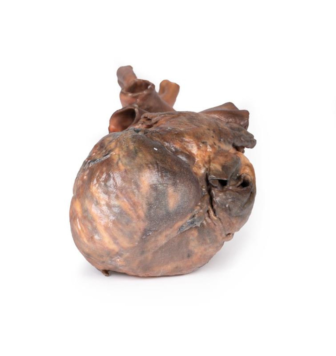 3D Printed Heart