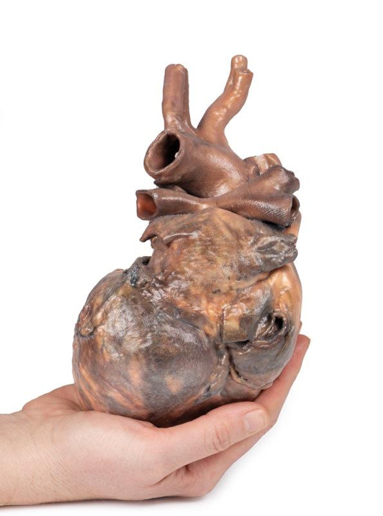 3D Printed Heart