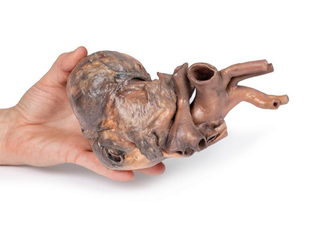 3D Printed Heart