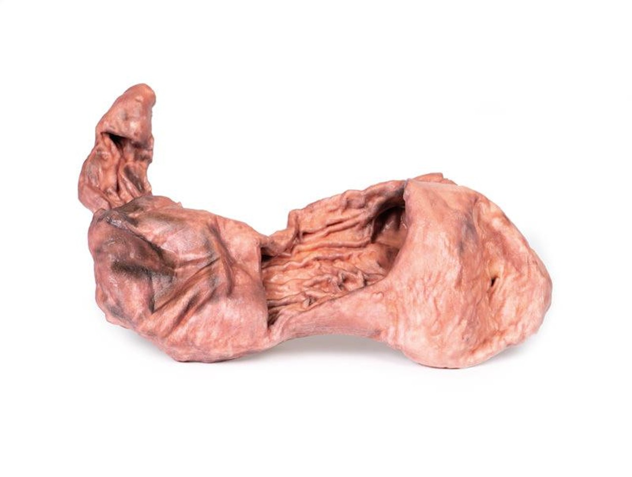 3D Printed Stomach