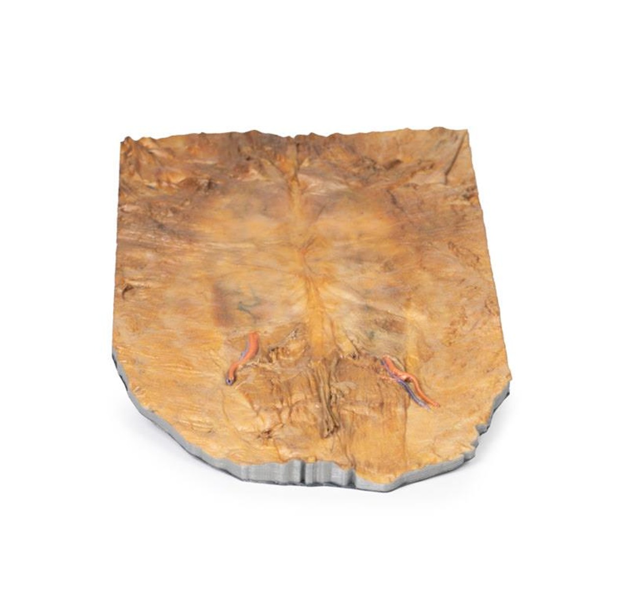 3D Printed Internal Abdominal Wall