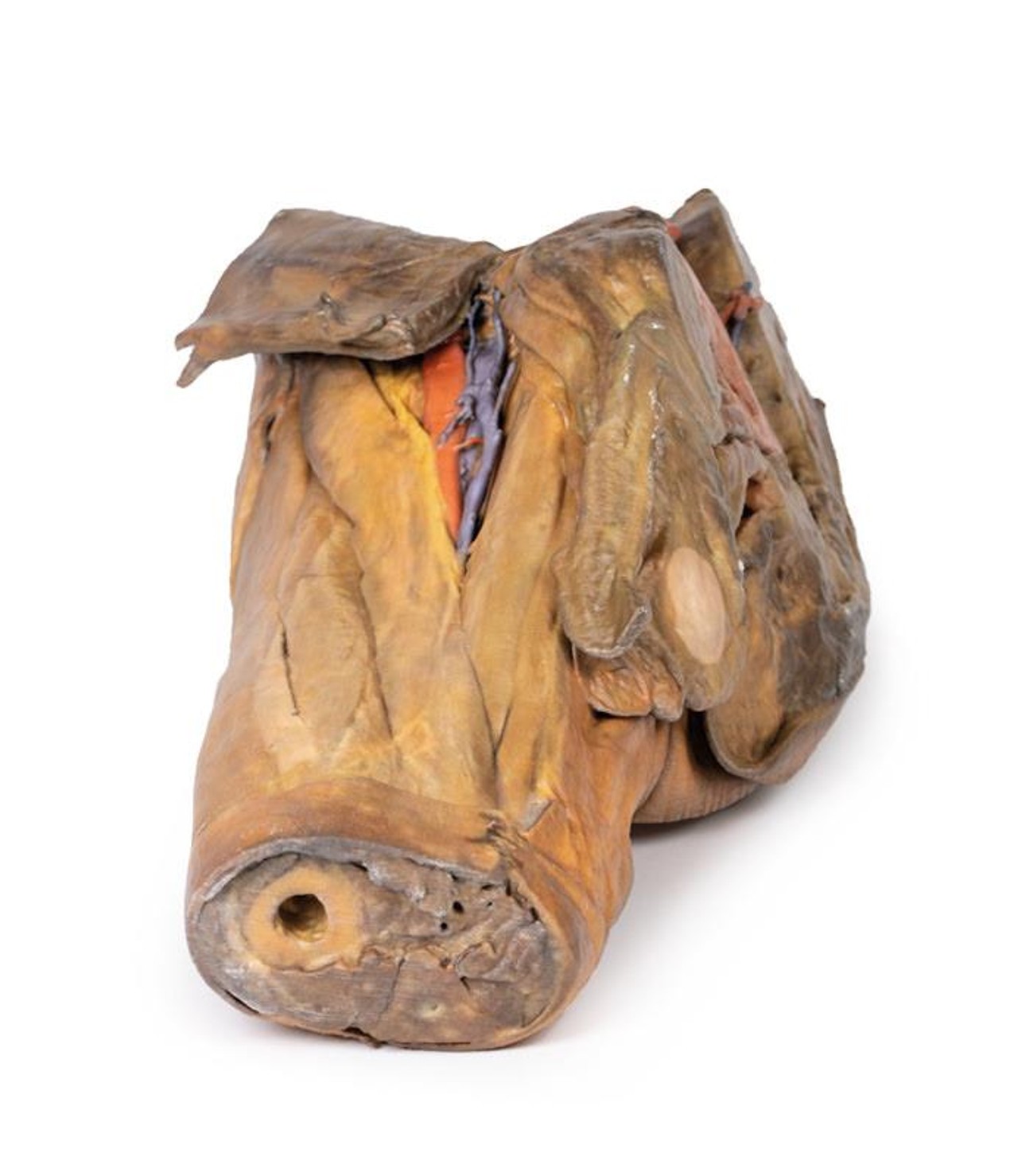 3D Printed Male Hemipelvis and Thigh