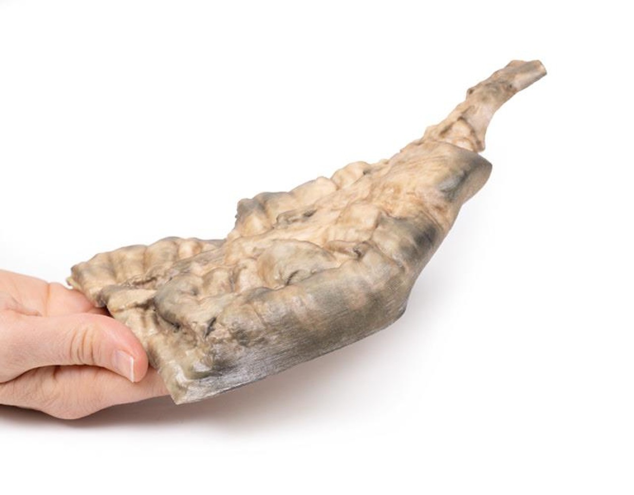 3D Printed Hirschsprung's Disease