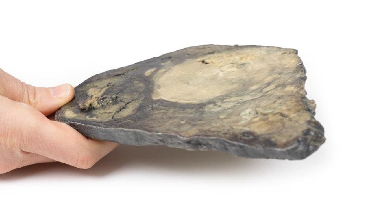 3D Printed Hepatocellular Carcinoma