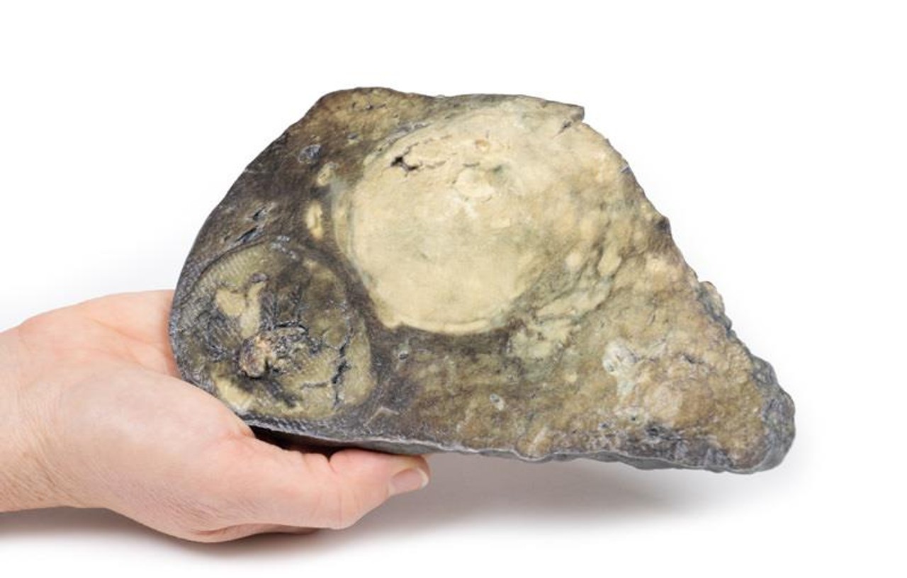 3D Printed Hepatocellular Carcinoma