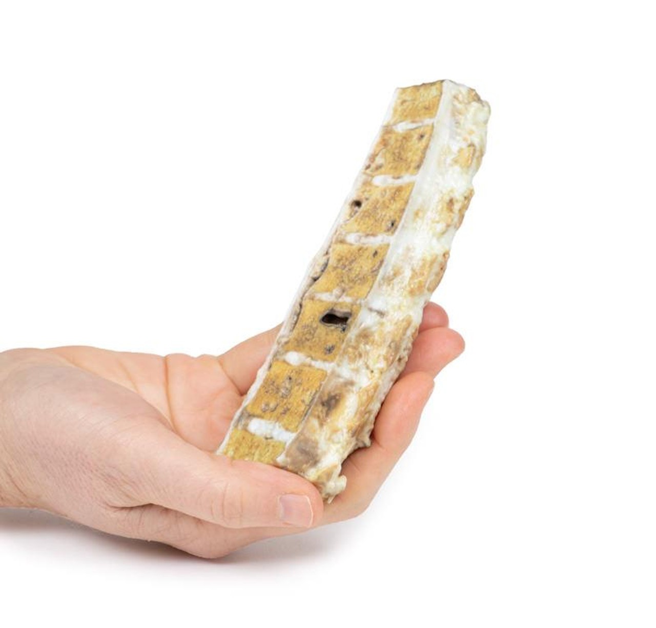 3D Printed Tuberculosis