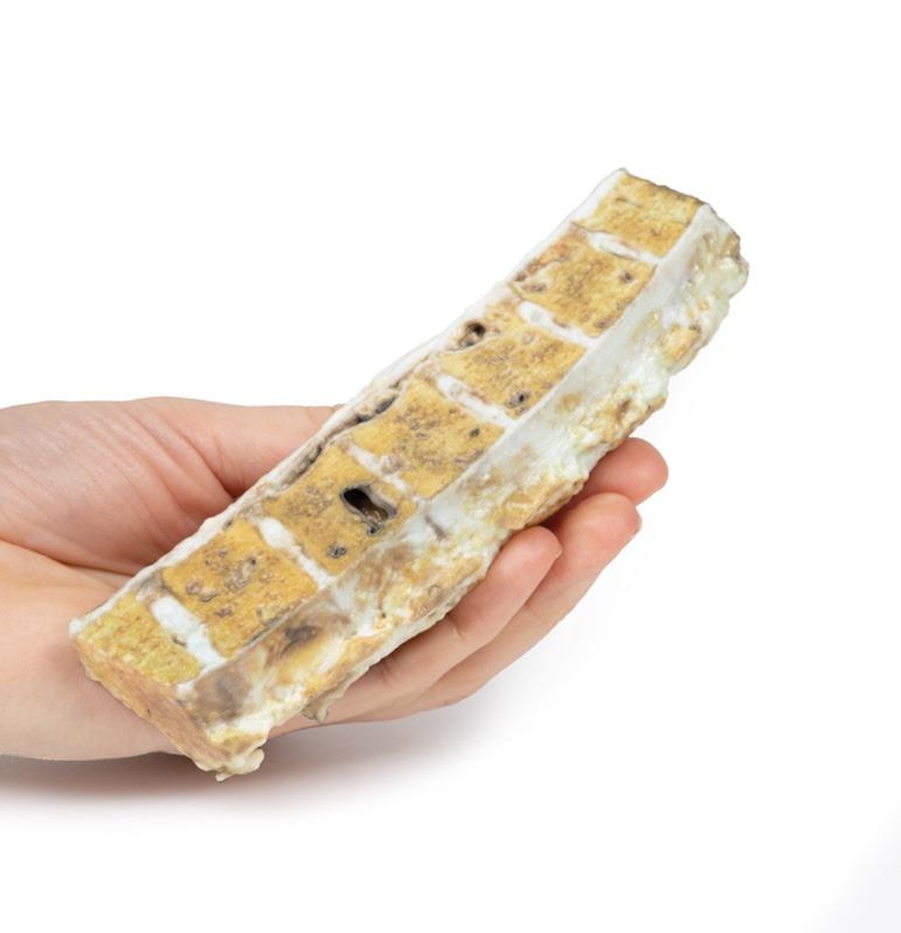 3D Printed Tuberculosis
