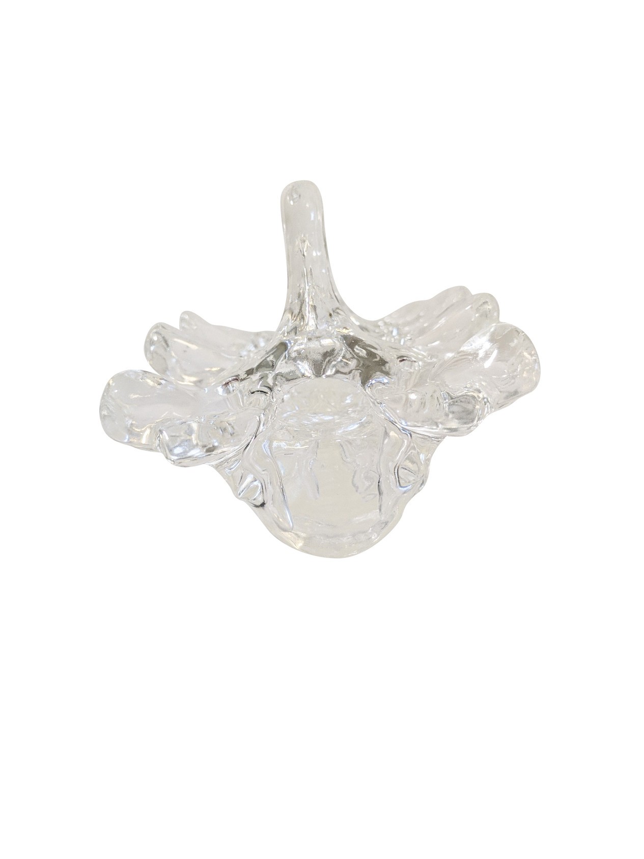 FlexBone Training Model - Cervical Spine, Occipital to C7