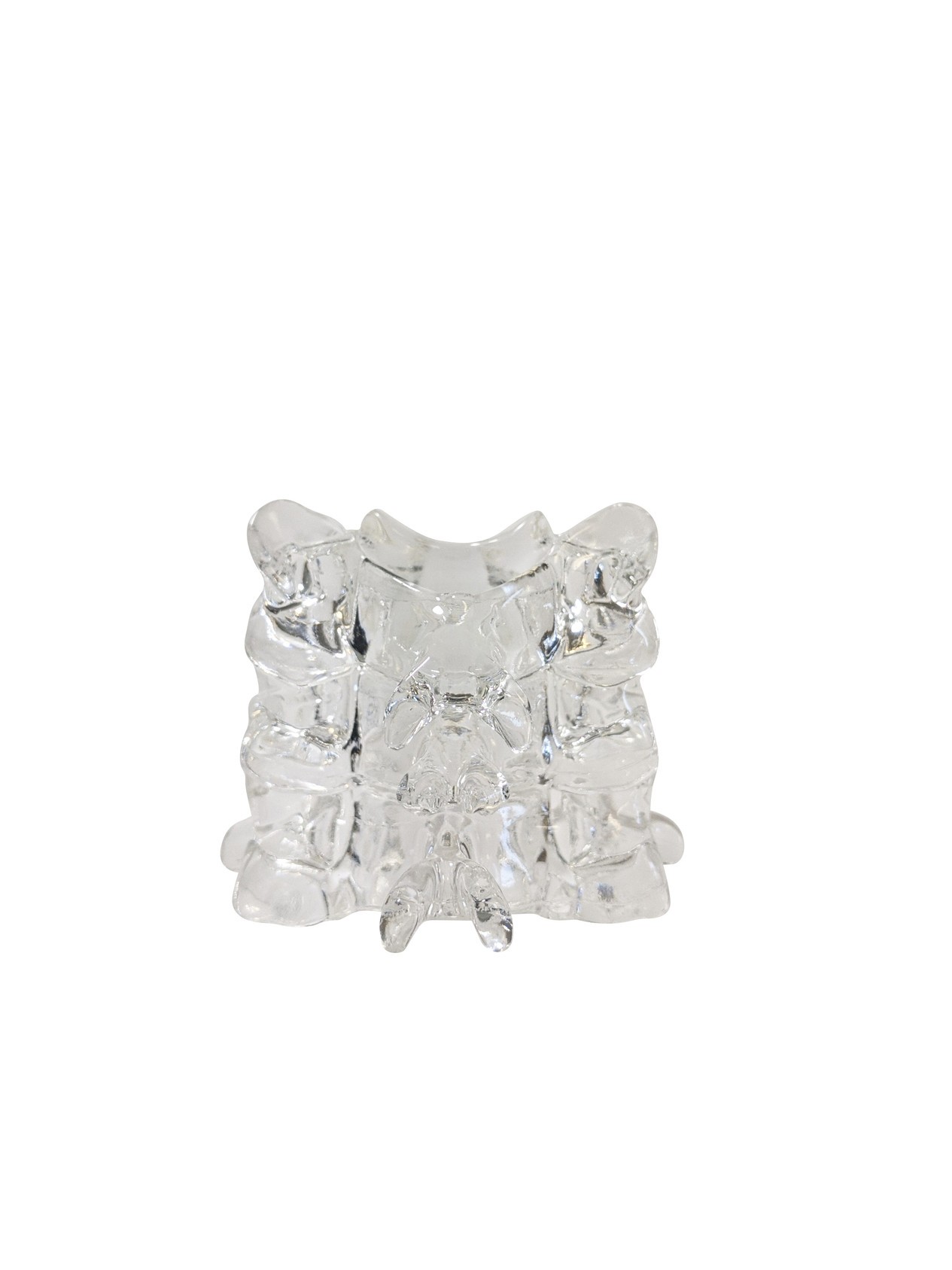 FlexBone Training Model - Cervical Spine, C4 to C6